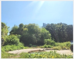  2024Ÿ��85119  ���(�󰡽ü�)���