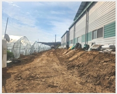  2024Ÿ89197  ֽ  Ű 85-1      ,â