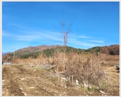  2024Ÿ91152  (󰡽ü)