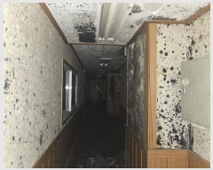  2024Ÿ��92582 ��� ���ֽ� ���� ���ر� 97-22      ������