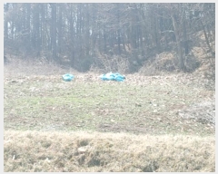  2024Ÿ74041  õ õ ź 165-5      (1)