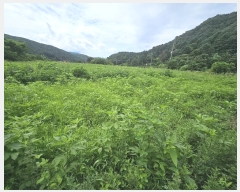  2024Ÿ��82615 ��� ��õ�� �źϸ� ������ 326      ����(����)���