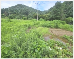  2024Ÿ��82615 ��� ��õ�� �źϸ� ������ 326      ����(����)���