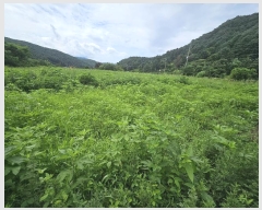  2024Ÿ��82615 ��� ��õ�� �źϸ� ������ 326      ����(����)���