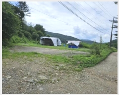  2024Ÿ��82615 ��� ��õ�� �źϸ� ������ 326      ����(����)���