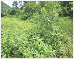  2024Ÿ��82615 ��� ��õ�� �źϸ� ������ 326      ����(����)���