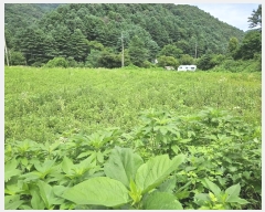  2024Ÿ��82615 ��� ��õ�� �źϸ� ������ 326      ����(����)���