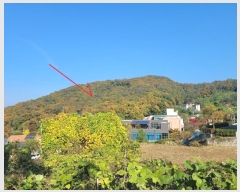  2024Ÿ��88972 ��� ����õ�� ������ ��86-15       ����(�Ӿ�)���