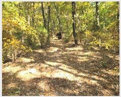  2024Ÿ��88972 ��� ����õ�� ������ ��86-15       ����(�Ӿ�)���