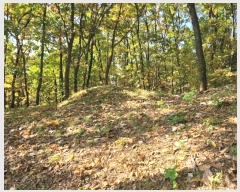  2024Ÿ��88972 ��� ����õ�� ������ ��86-15       ����(�Ӿ�)���