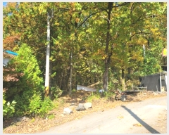  2024Ÿ��88972 ��� ����õ�� ������ ��86-15       ����(�Ӿ�)���