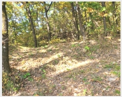  2024Ÿ��88972 ��� ����õ�� ������ ��86-15       ����(�Ӿ�)���