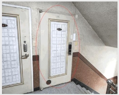  2024Ÿ��62737  �ټ���(����)���