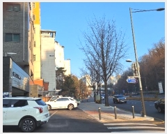  2024Ÿ62782  빮 Ϸ 545, 9904ȣ (ȫ,̵)     ټ,