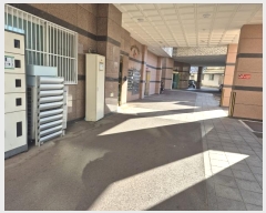  2024Ÿ64986   Ϸ14 8,  3302ȣ (ϵ,Ƹ)    ǽڰ