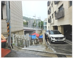  2024Ÿ2117  걸 ӹ57 7, 5501ȣ      ټ,