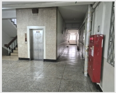  2024Ÿ��53337  ����Ʈ���