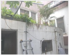  2024Ÿ2544  빮 ̵ 2-144       ð