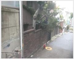  2024Ÿ2544  빮 ̵ 2-144       ð