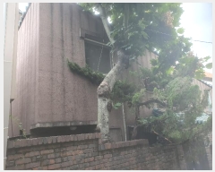  2024Ÿ2544  빮 ̵ 2-144       ð