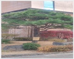  2024Ÿ3141   밭 512 1101ȣ      ,繫ǰ