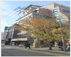  2024Ÿ3141   밭 512 1101ȣ      ,繫ǰ