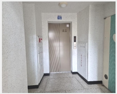  2024Ÿ��65064  ����Ʈ���