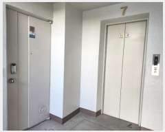  2024Ÿ16891 õ   319, 503 7707ȣ (µ,־Ʈ)    Ʈ