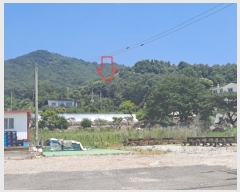  2024Ÿ536036 õ ȭ ȭ ȭ 407-5      (Ӿ)