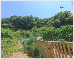  2024Ÿ536036 õ ȭ ȭ ȭ 407-5      (Ӿ)