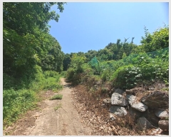  2024Ÿ536036 õ ȭ ȭ ȭ 407-5      (Ӿ)