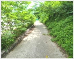  2024Ÿ536036 õ ȭ ȭ ȭ 407-5      (Ӿ)