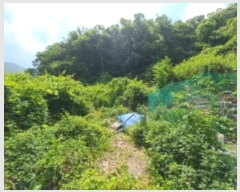  2024Ÿ536036 õ ȭ ȭ ȭ 407-5      (Ӿ)