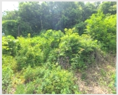  2024Ÿ536036 õ ȭ ȭ ȭ 407-5      (Ӿ)