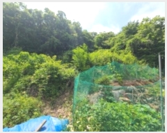  2024Ÿ536036 õ ȭ ȭ ȭ 407-5      (Ӿ)