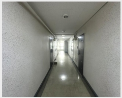  2024Ÿ��549162 ��õ ������ ������204���� 26, 13��1302ȣ      ����Ʈ���