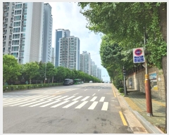  2024Ÿ551158 õ  124 31, 5 101006ȣ (µ,Ʈ)    Ʈ