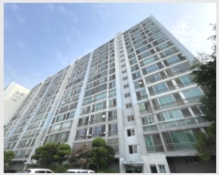  2024Ÿ551158 õ  124 31, 5 101006ȣ (µ,Ʈ)    Ʈ