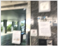  2024Ÿ565843 õ  117 8, 1 2204ȣ     ټ,