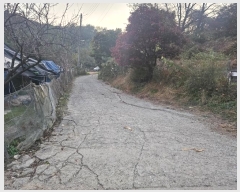  2024Ÿ��568736  �Ӿ߰��