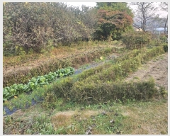  2024Ÿ��568736  �Ӿ߰��