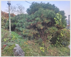  2024Ÿ��568736  �Ӿ߰��