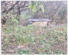  2024Ÿ��568736  �Ӿ߰��