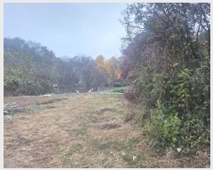  2024Ÿ��568736  �Ӿ߰��