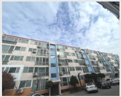  2024Ÿ579033 õ   136, ̵ 5501ȣ (µ,￵Ʈ)    Ʈ