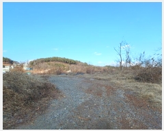  2024Ÿ��584646 ��õ ������ ����� �ܸ� 249-13      ����(�Ӿ�)���