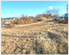  2024Ÿ��584646 ��õ ������ ����� �ܸ� 249-13      ����(�Ӿ�)���