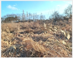  2024Ÿ��584646 ��õ ������ ����� �ܸ� 249-13      ����(�Ӿ�)���