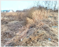  2024Ÿ��584646 ��õ ������ ����� �ܸ� 249-13      ����(�Ӿ�)���