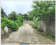  2024Ÿ8944 õ ȭ ȭ  385-4      (Ӿ)